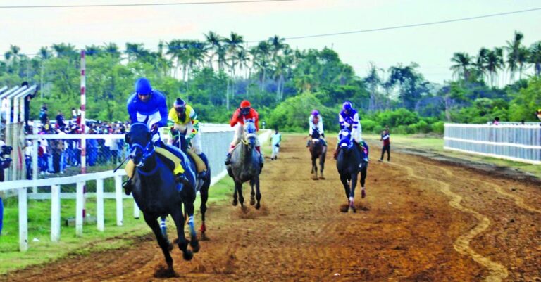 Coast at D Big Yard: Ritorna Vincentori, statistique parmi 9 chevaux entrés pour la course de longs métrages