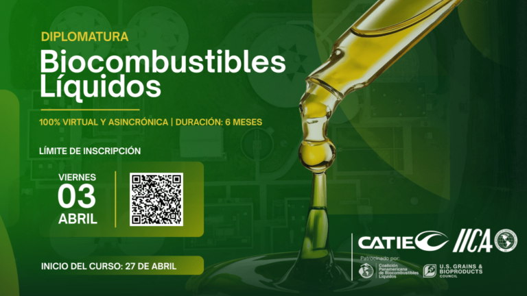 L&rsquo;IICA lance la première édition du Programme du diplôme en biocarburants liquides