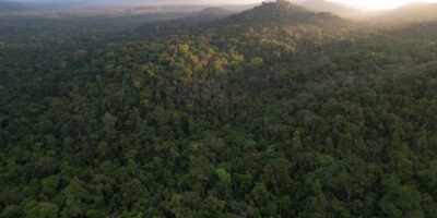 Le FMI affirme que le LCDS renforce la résilience climatique et la transition énergétique