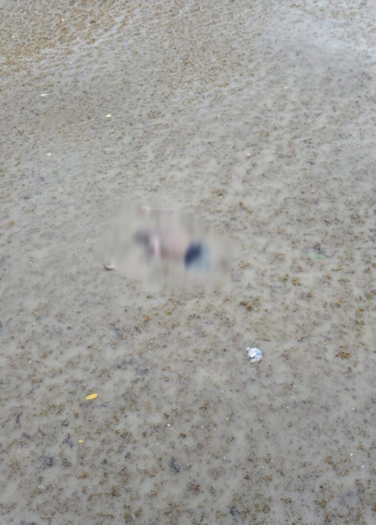 Corps retrouvé dans la rivière Demerara derrière l’hôtel Marriott