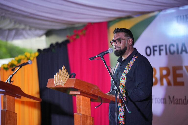 « Donnez à PPP/C une chance de diriger Georgetown » – Président. Ali