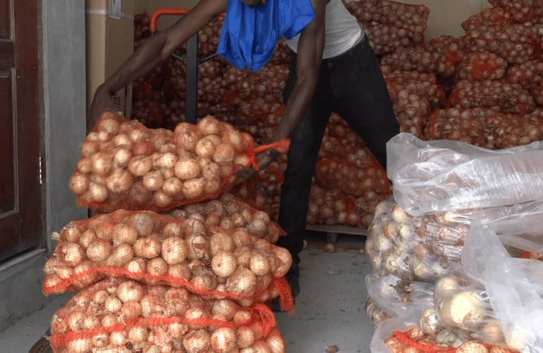 Après un projet pilote réussi : la récolte d&rsquo;oignons de 15 millions de dollars alimente la poussée du Guyana vers les marchés d&rsquo;exportation