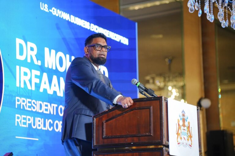 La Guyane attire d’importants investissements dans les centres de données – Pres. Ali