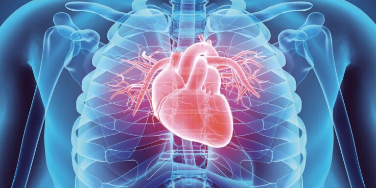 Plus de 2 000 décès par maladie cardiaque enregistrés chaque année – directeur du GPHC