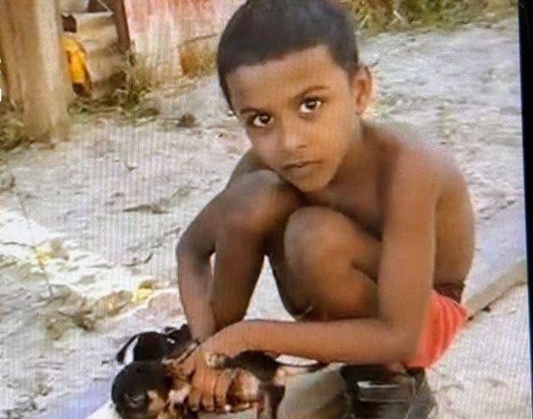 Un enfant de 7 ans égorgé lors d&rsquo;une invasion de domicile à Zeelugt, arrière-grand-mère poignardée
