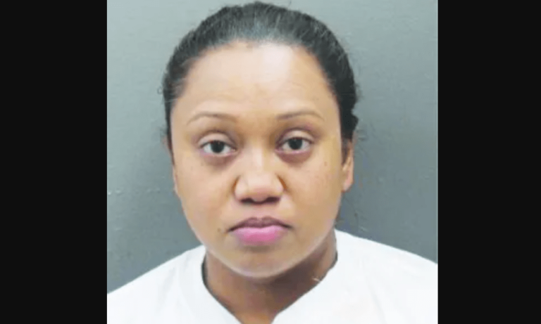 Une Guyanaise condamnée à New York pour fraude à l&rsquo;aide sociale et vol