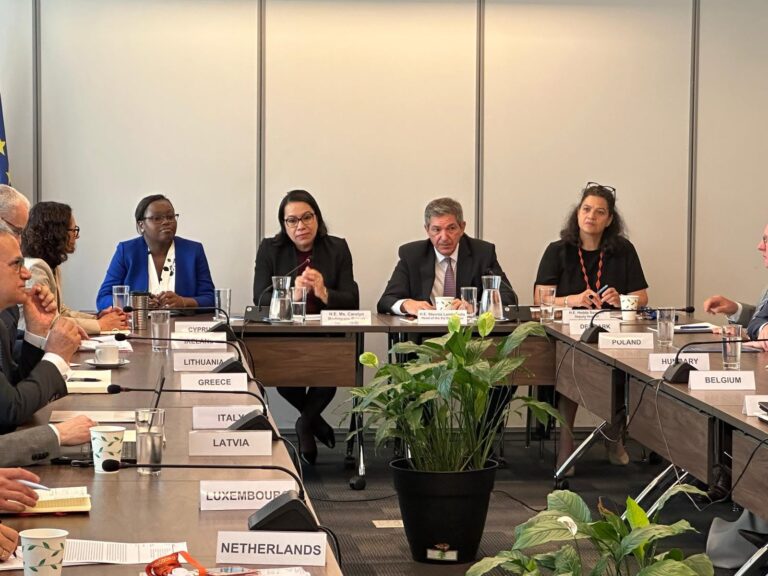 Amb. Rodrigues-Birkett engage les États membres de l&rsquo;UE sur la vision du bureau du SGNU