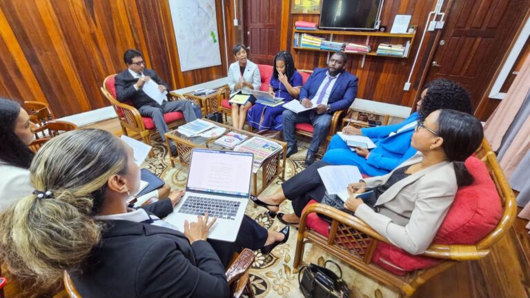 Le Guyana et RSS discutent de l&rsquo;élaboration d&rsquo;une législation modèle régionale traitant de l&rsquo;IA