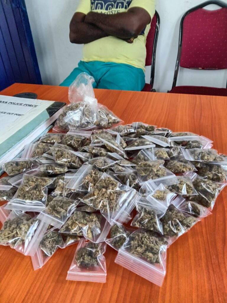 Un vendeur arrêté après que la police ait trouvé de la ganja dans le programme de logement de Castello