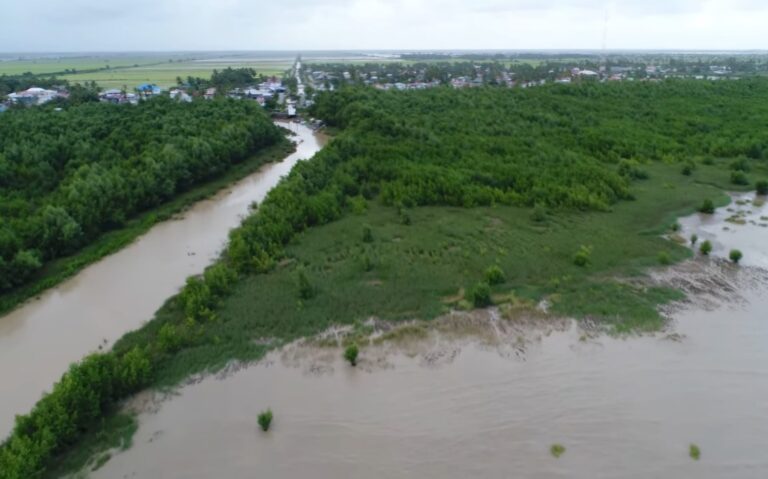 L&rsquo;étendue des mangroves du Guyana a augmenté de 31% pour atteindre plus de 25 600 hectares en 2025 – Ministre de l&rsquo;Agriculture