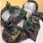 CANU intercepte plus de 28 kg de cannabis lors d&rsquo;une opération au WCB
