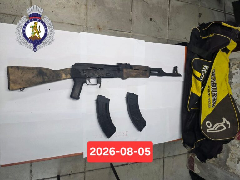 Fusil d&rsquo;assaut AK, deux chargeurs retrouvés à Sophia